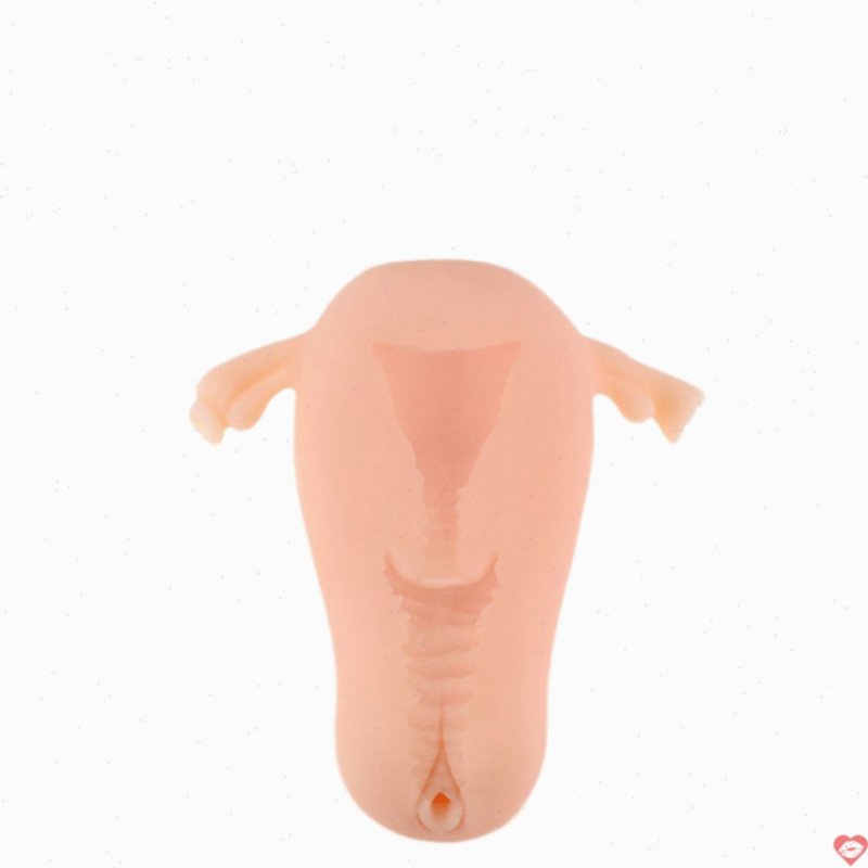 Đồ chơi sextoy nam cao cấp Silicon mềm mại kích thích cực đỉnh 