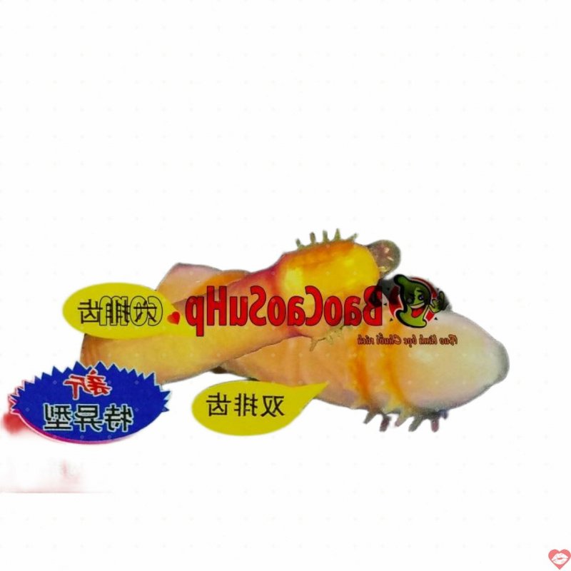 Bao cao su Gold gai dài kích thích mạnh mẽ, tăng khoái cảm 