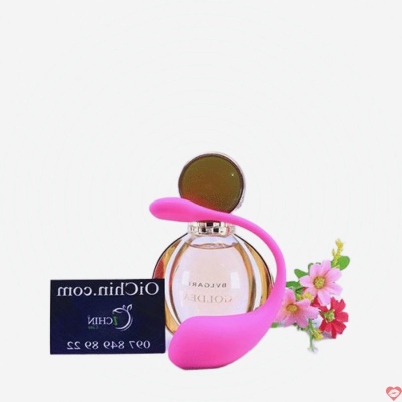 Lush 2 Lovense trứng rung Bluetooth cao cấp không dây sành điệu 