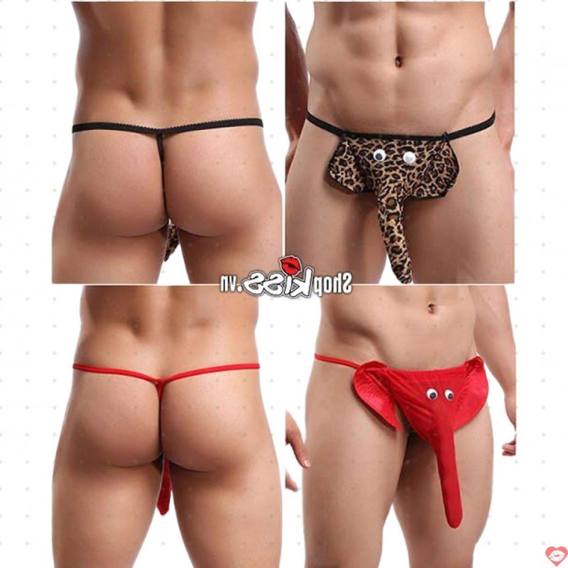 Quần lót nam vòi voi độc đáo sexy cotton cao cấp thu hút 