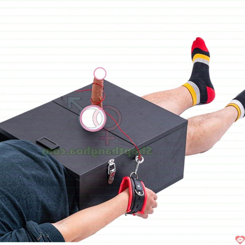 Hộp dụng cụ tra tấn nam giới phong cách nữ hoàng