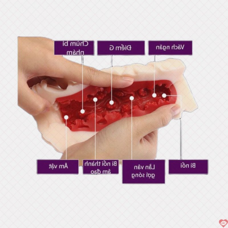 Âm đạo giả Leten 3D đỏ silicon cao cấp sextoy nam 